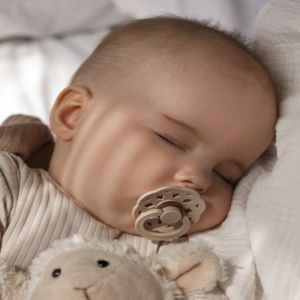 Deputados protocolam projeto de lei para proibir atendimento de 