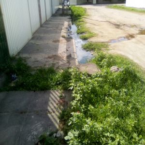 Mais uma rua pede socorro à prefeitura