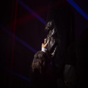 Dia do Circo: Belo Horizonte recebe excelente notícia