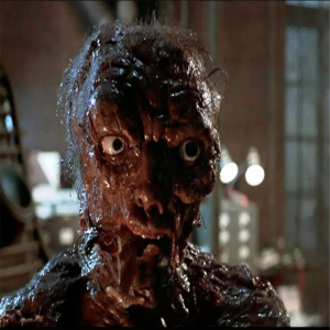 A Mosca conheça todos os filmes, remakes e continuações