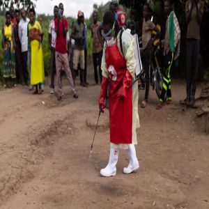 Novo vírus letal se espalha na África