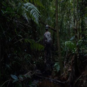 Ausência (sobre Os Primeiros Soldados de Rodrigo de Oliveira)