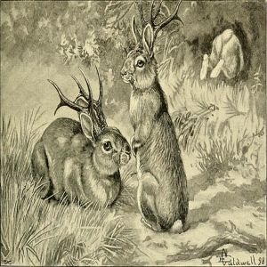 Curiosidades sobre países #15 - Folclore