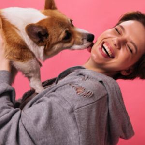 Por Que os Cachorros Lambem os Seus Donos?