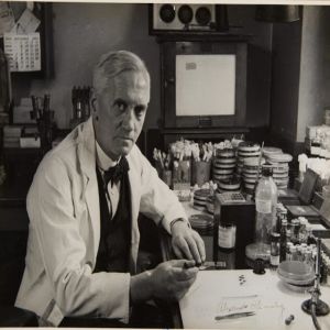 Alexander Fleming: a descoberta da penicilina