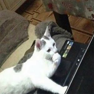 Benefícios de acordar cedo depois de madrugar