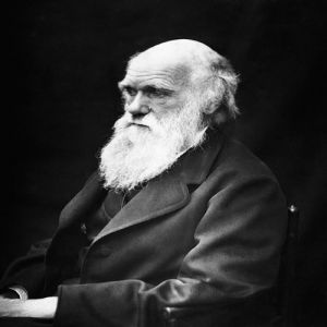 Charles Darwin: a descoberta da chave da vida