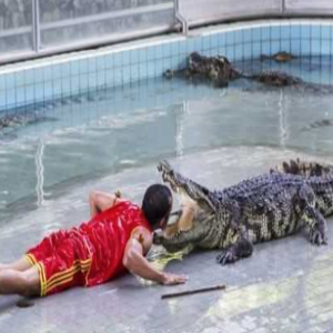 Os 4 empregos mais perigosos do mundo