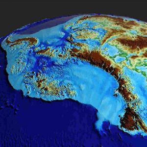 Há seres vivos sobre a antártica?