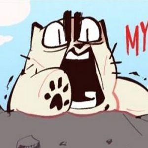 Brincando com o gato