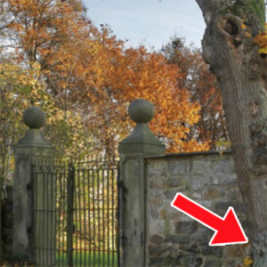 Você consegue achar a mulher escondida? Somente algumas pessoas são capazes!