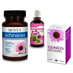 Para que serve a equinácea em cápsulas?