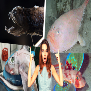 As 10 Espécies de Peixes Mais Incríveis do Mundo