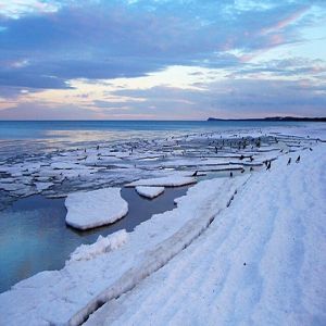 Veja a evolução do gelo do Oceano Ártico devido ao aquecimento global
