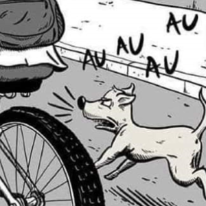 O que fazer quando você atingir os seus objetivos?