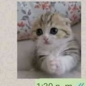 Quando a pessoa quer conversar sério com você