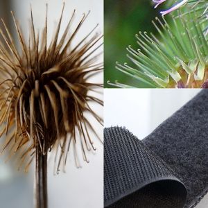 Como a tecnologia moderna é inspirada pela Biologia