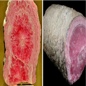 Coisas que parecem comida, mas não são e provavelmente te matariam 