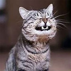 Reações quando você quebra algo na frente das visitas