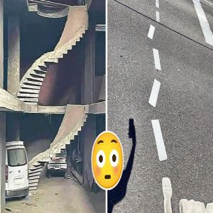 18 fotos que mostram o que acontece quando o faz-tudo acorda do lado errado da cama