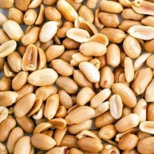 Veja os principais benefícios do amendoim e como consumir