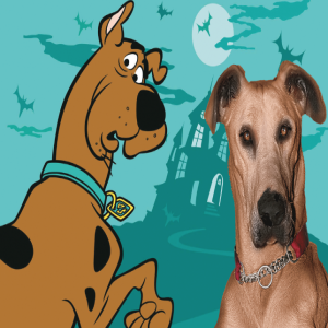 Qual a raça do Scooby Doo? Descubra essa e mais 10 raças de cães famosos!