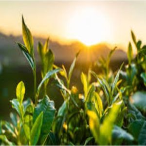 30 Grandes MARAVILHAS da NATUREZA