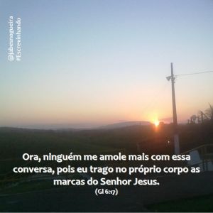 Currículo apostólico