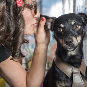 Usa mais vezes o ouvido do que a língua e outros conselhos importantes