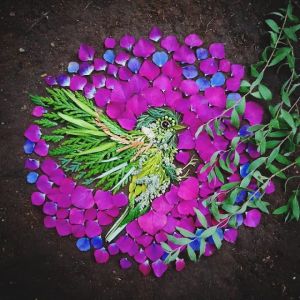 Artista transforma flores em pinturas #3