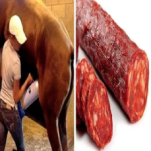 9 alimentos que você JAMAIS comeria se soubesse como eles são feitos