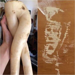 13 Vezes que as pessoas viram algo que enganou seus olhos