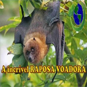 A incrível raposa voadora