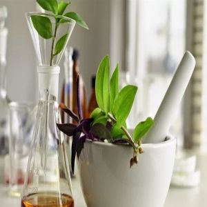 Os poderes da fitoterapia antiveneno