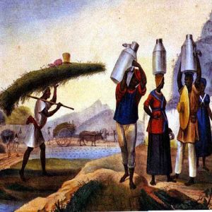 Desvendando a verdade sobre alguns dos mitos mais contados #2