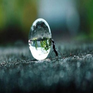 Acredite, mesmo que suas forças estejam esgotadas