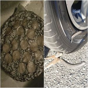 15 Pessoas que estão tendo dificuldades para encontrar boa sorte