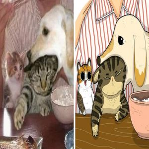 Artista transforma fotos engraçadas de gatos em ilustrações