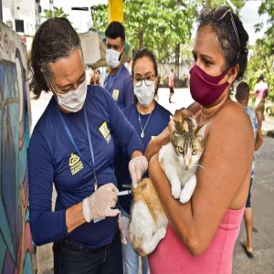 Prefeitura monta 30 postos de vacinação antirrábica animal