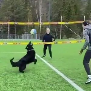 Tô precisando demais de um parceiro como esse