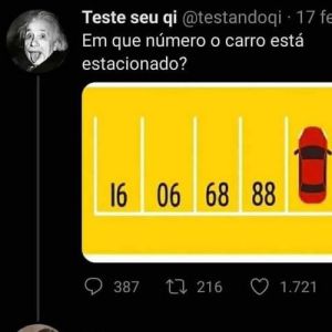 Essa mulher tem 300 de QI