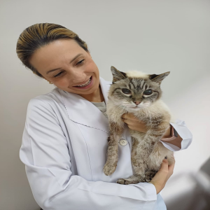 Doenças renais em pets