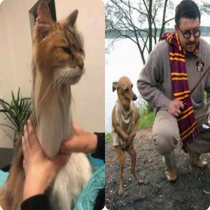 25 Fotos estranhas de animais que não podem ser explicadas