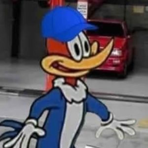 Seria o certo fazer isso com o mecânico?