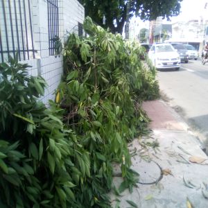 Um péssimo exemplo da prefeitura