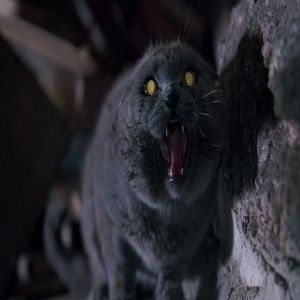 Cemitério Maldito: leia sobre a adaptação de Stephen King 