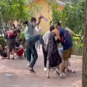 Famílias protagonizam uma luta livre no zoológico de Pequim