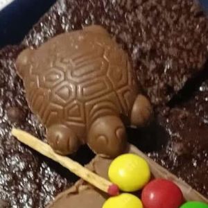 Tortuguitas jogando sinuca