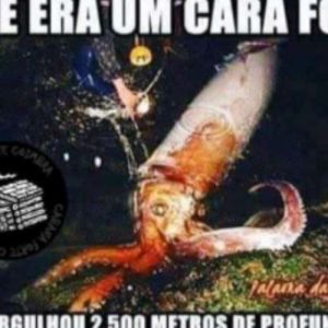  Realmente faz muito sentido