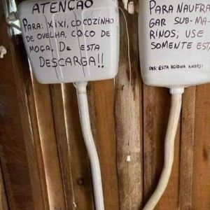 Será que se acionar as duas juntas tira print?